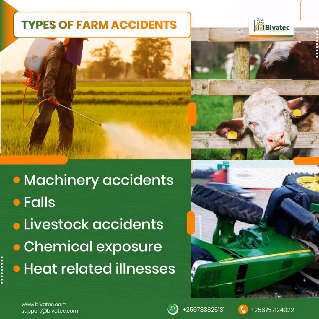 What is ergonomics & manual handling on farms?