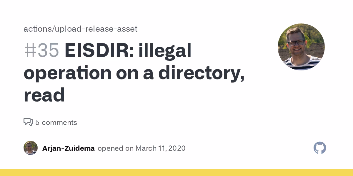 What is 13 error eisdir?