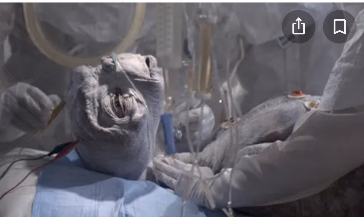 What is the most disturbing scene in et?