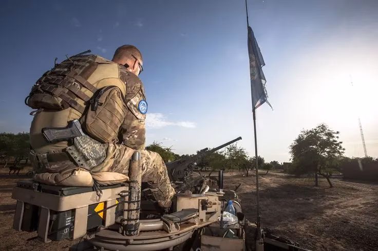 What is an Authorised Economic Operator (AEO)?