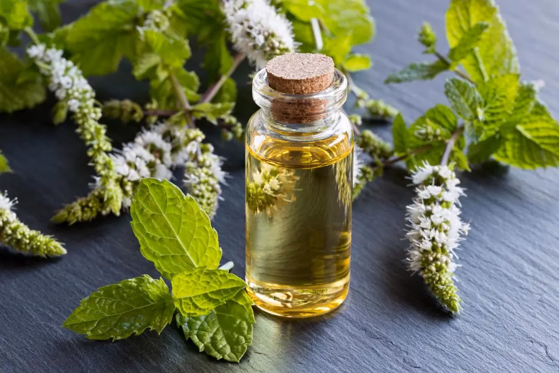Can eucalyptus oil cause hives?