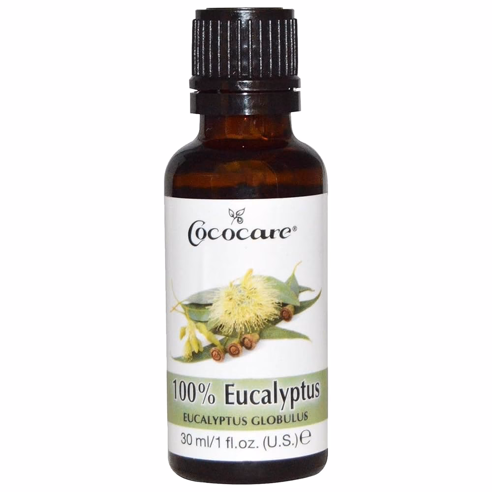 Can eucalyptus oil help a cough?