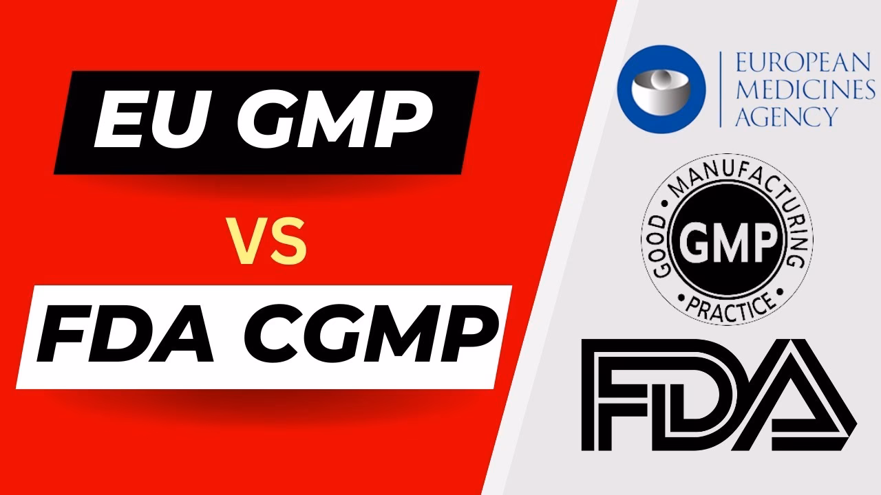 What are EU GMP guidelines?