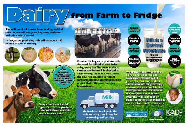 What is dairy engineering?