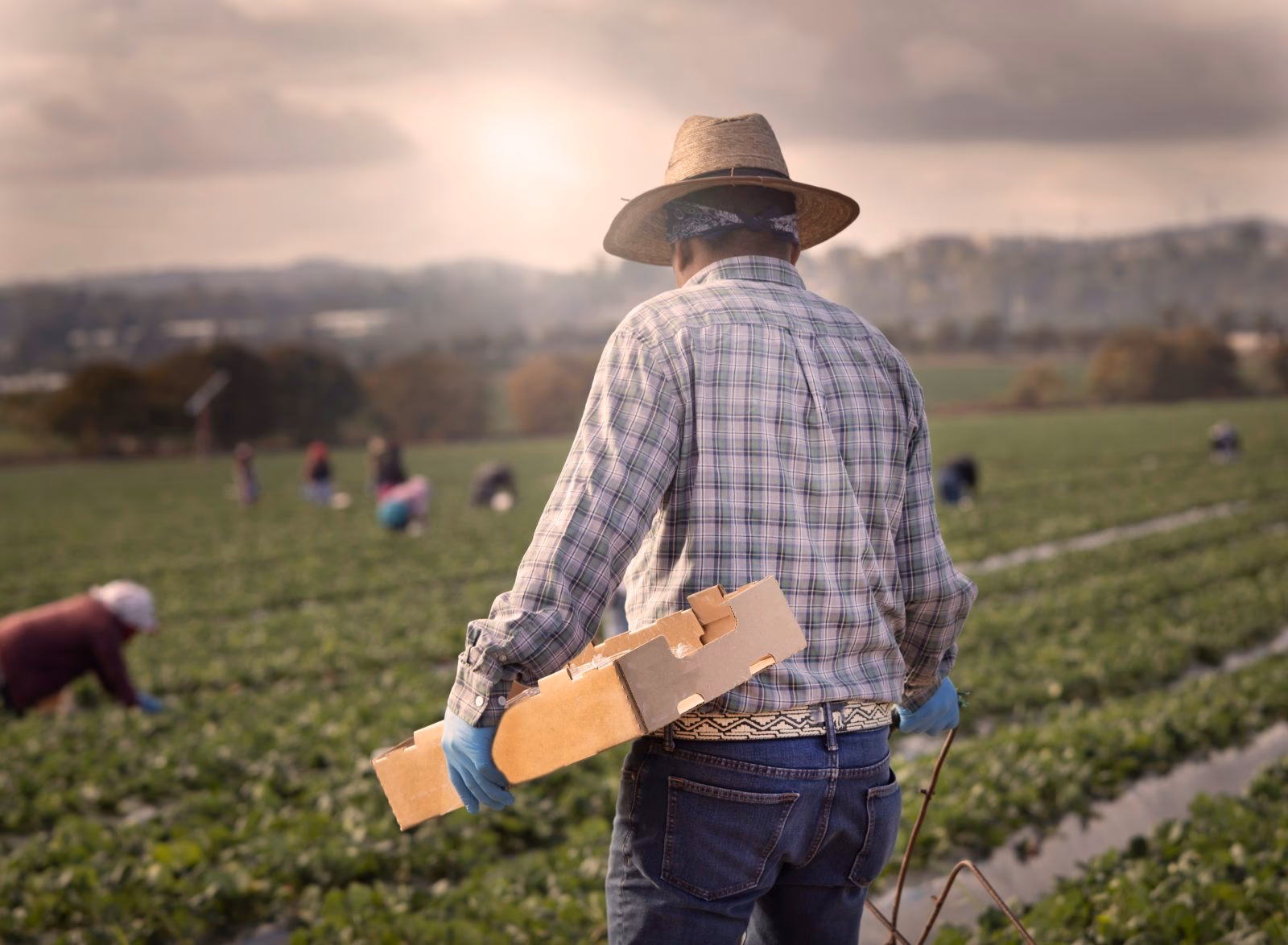 What is the farm labor survey (FLS)?