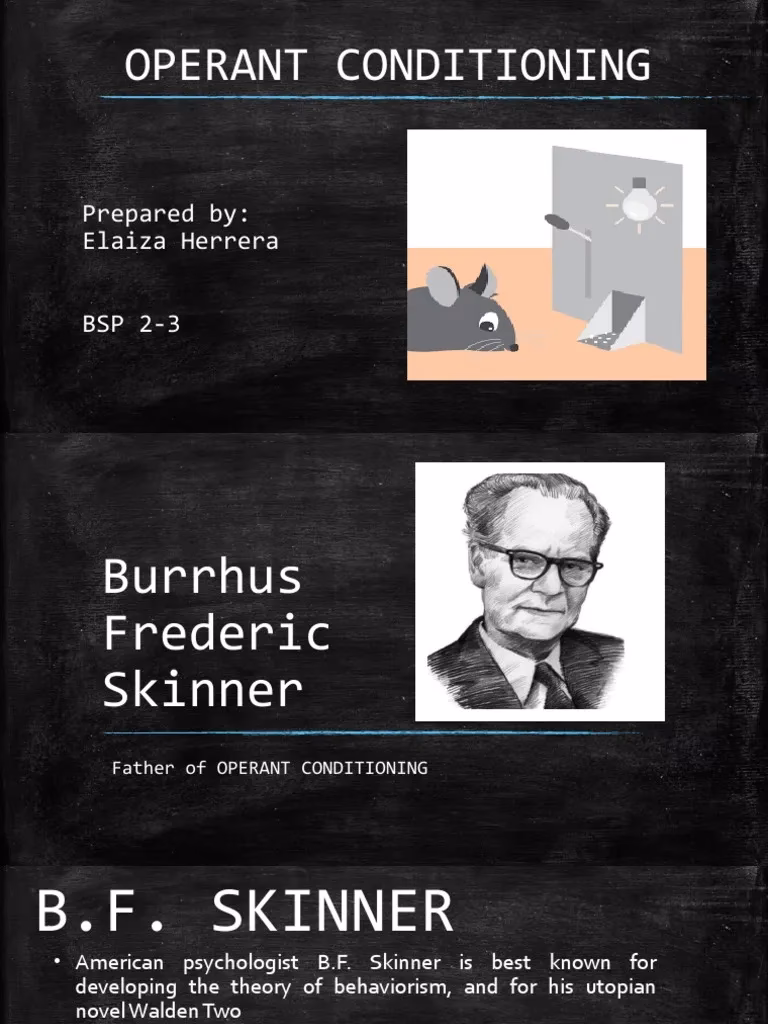 What is operant conditioning according to Skinner's theory of learning?