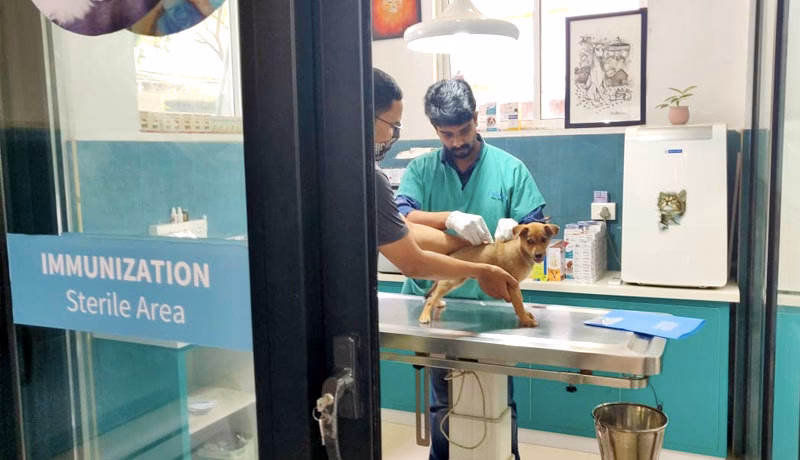 Who is felican Pet Hospital Cochin?