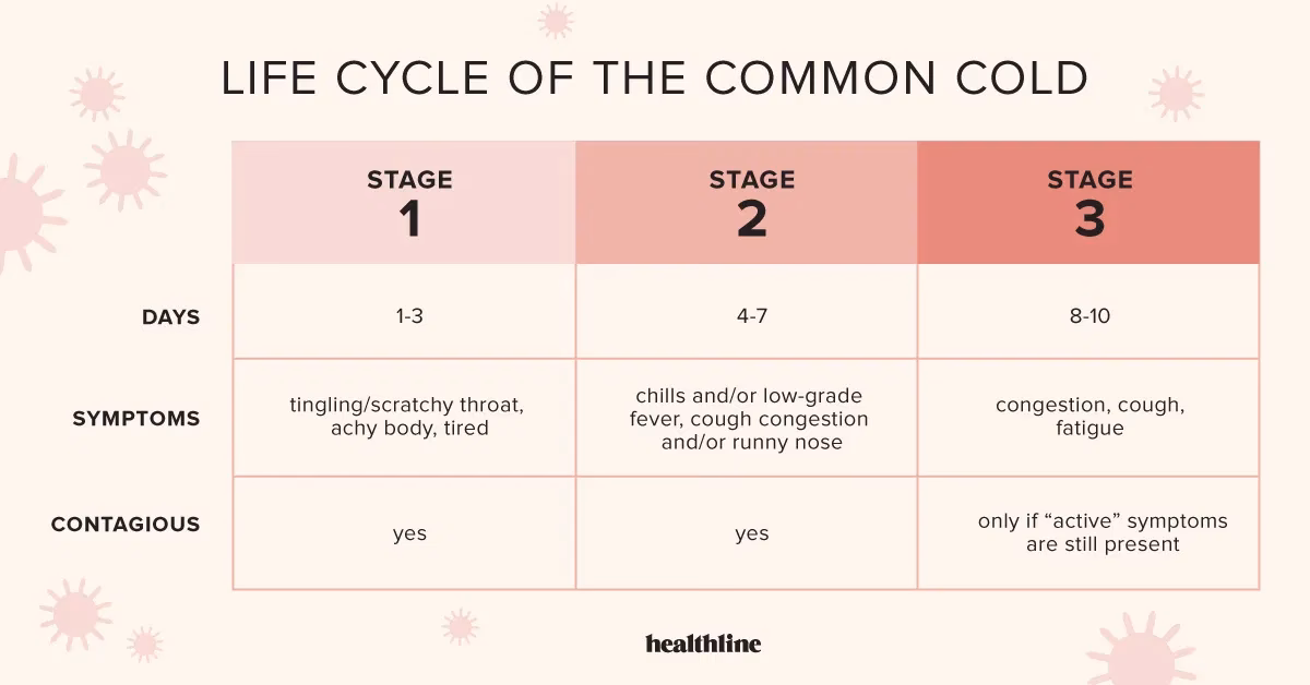 When does a baby get a fever?