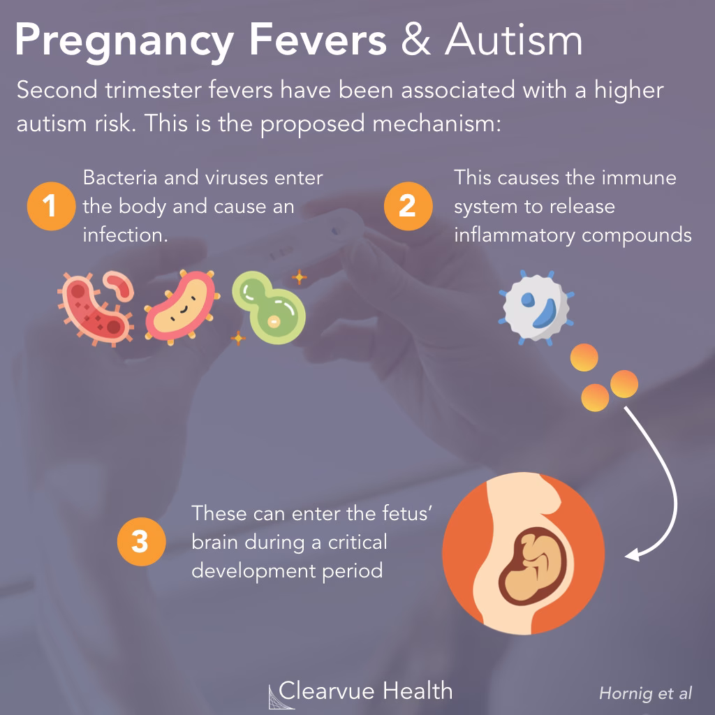 Does Autism fever affect emotional regulation?