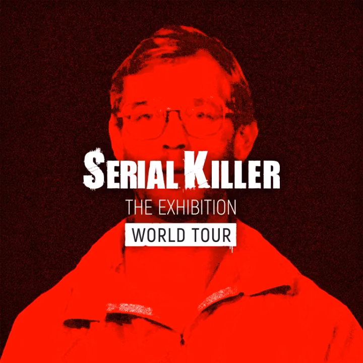 Comment Fever démocratise-t-il l'accès à la culture et au divertissement ?