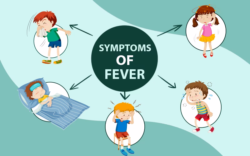 How is a fever categorized?