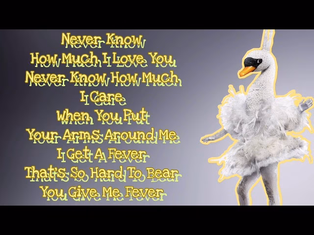 What is the lyrics to never know how much I Love You?