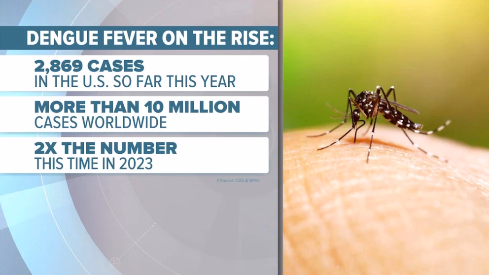 Will the Indiana Fever be at WNBA All-Star Weekend?