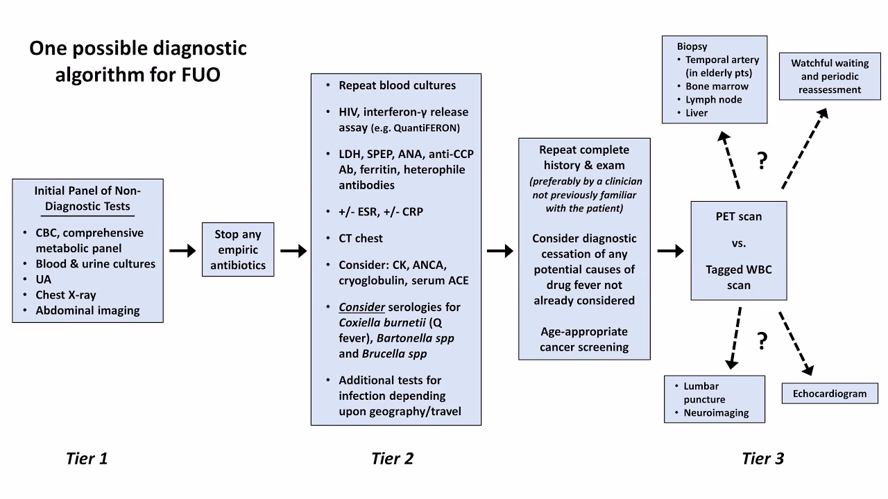 What are the key features of fever of unknown origin (FUO)?
