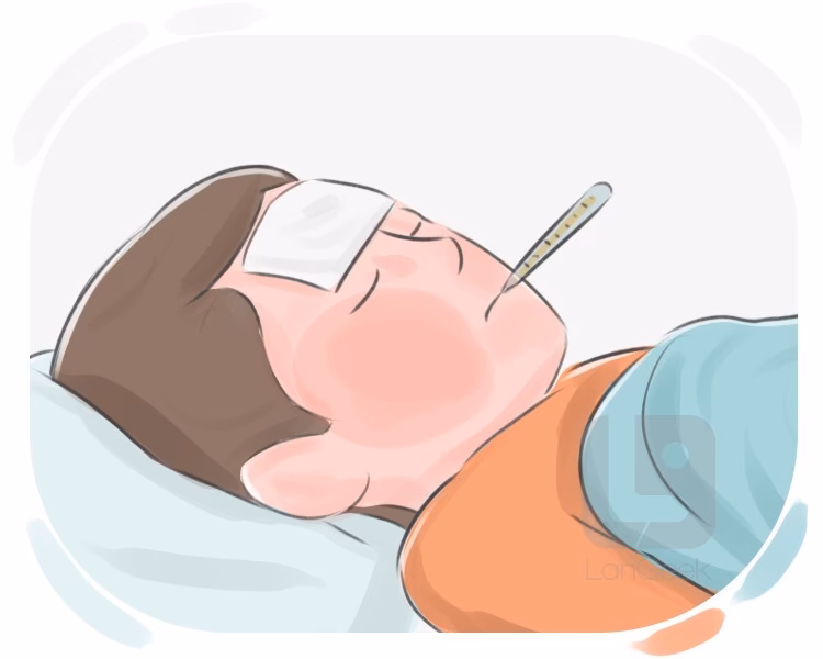 What does a fevered brow mean?