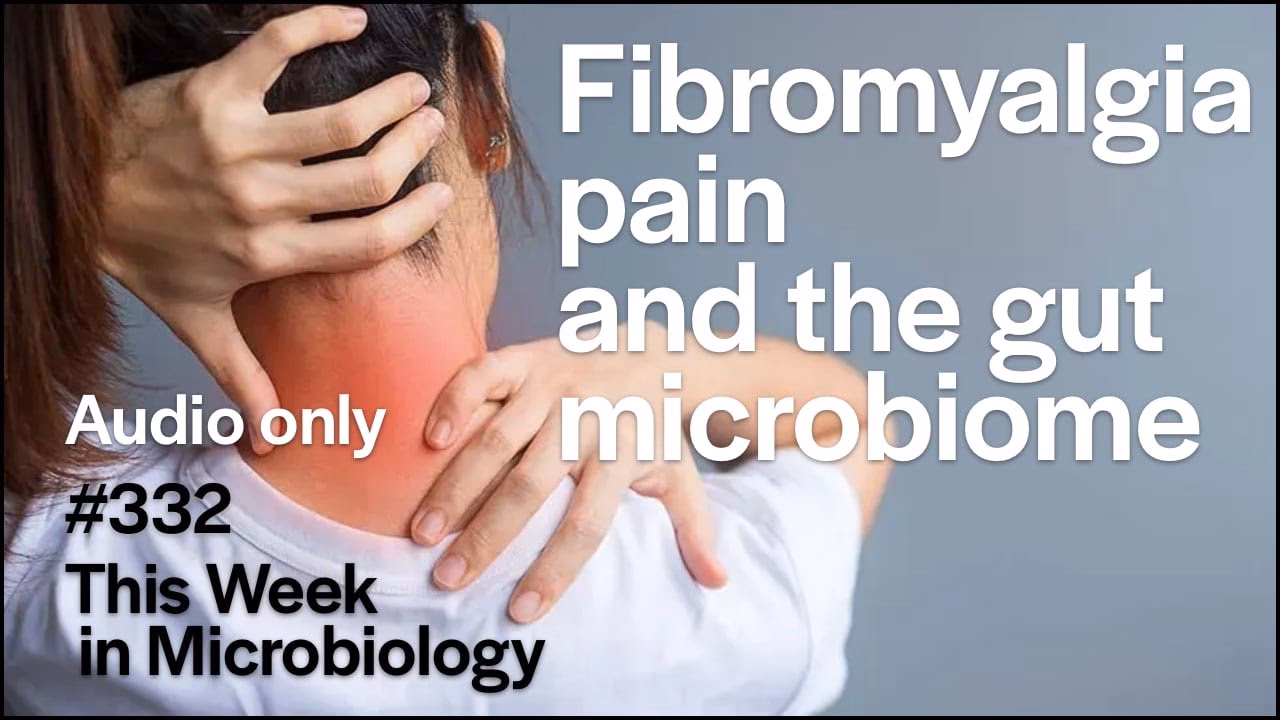Can fibromyalgia microbiota help relieve pain?