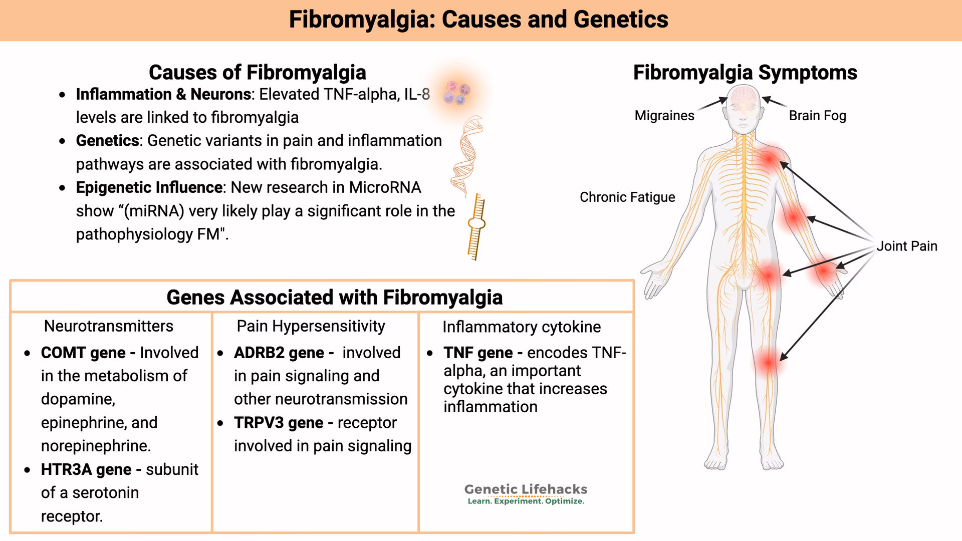 What causes familial fibromyalgia (FM)?