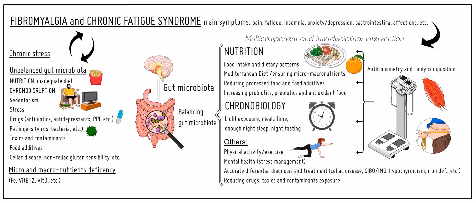 Is there a link between H pylori and inflammation?
