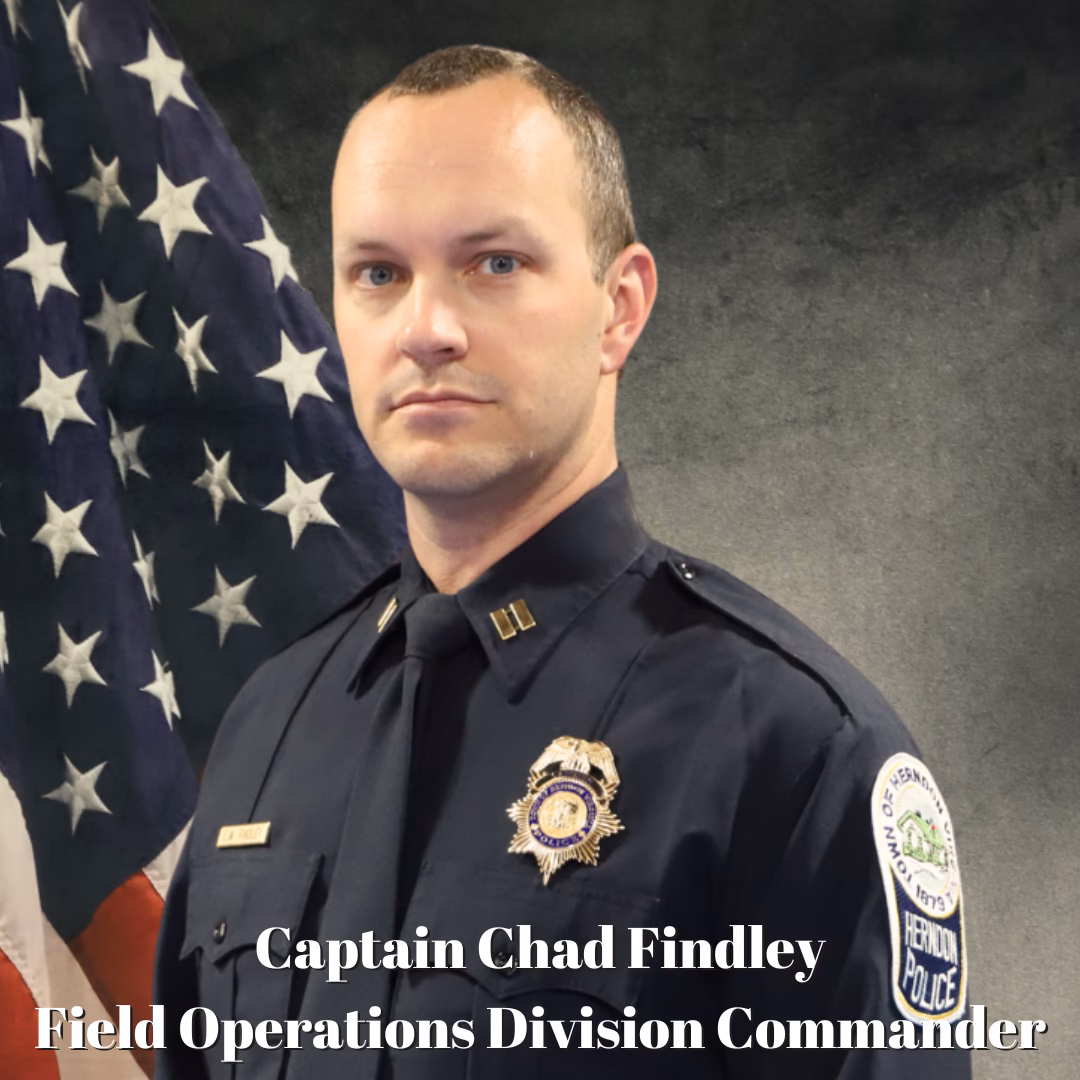 What does the workforce management division do?