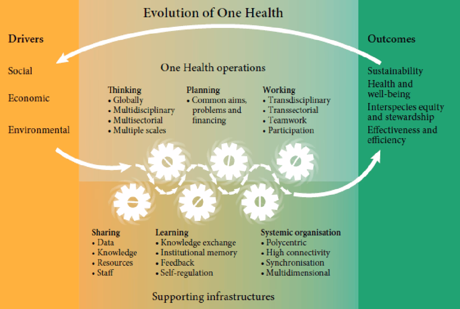 What is the one health PhD programme?