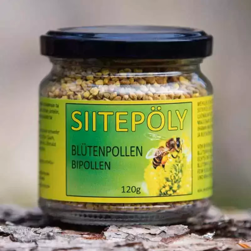 How does birch pollen affect asymptomatic bronchitis (BPH)?