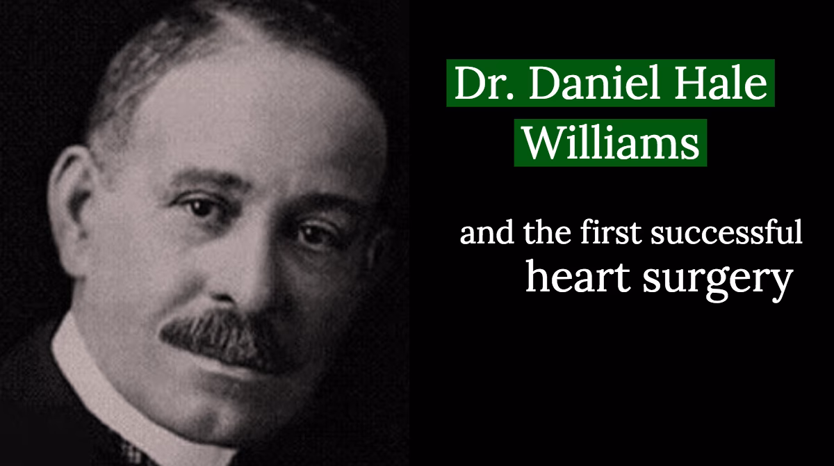 When was the first successful cardiac operation in a human?
