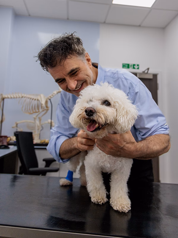 Who is Noel Fitzpatrick?