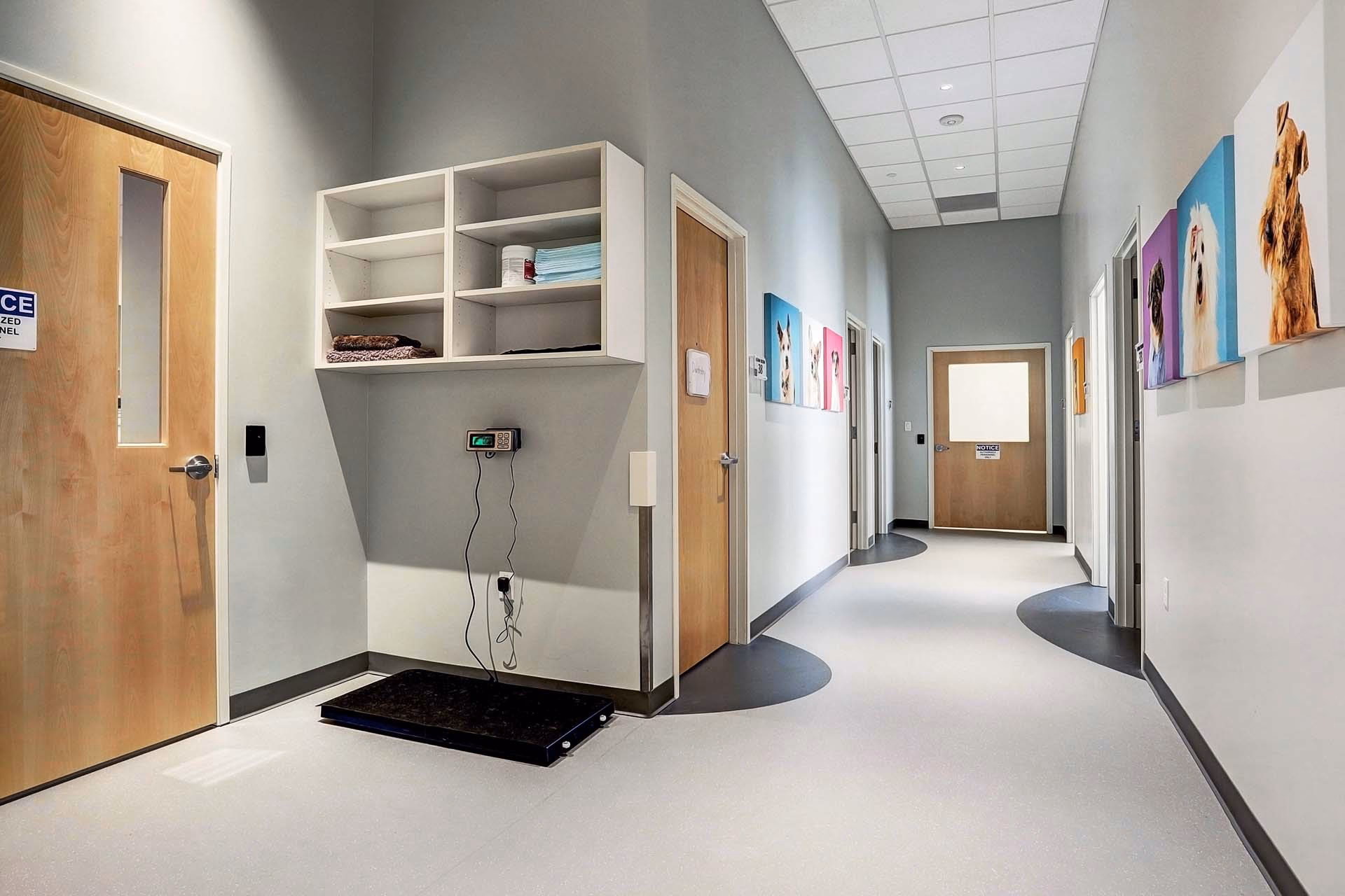 What is floortech veterinary clinic resin flooring system?