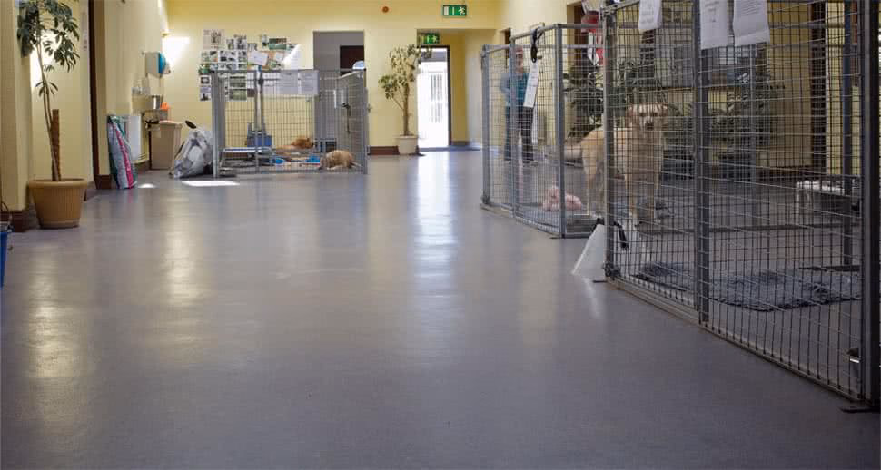What is polylast veterinary clinic flooring?