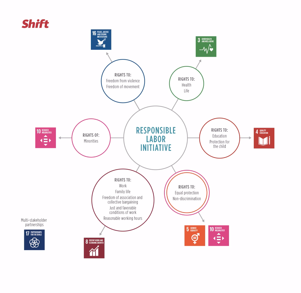 What is the forced labour regulation?
