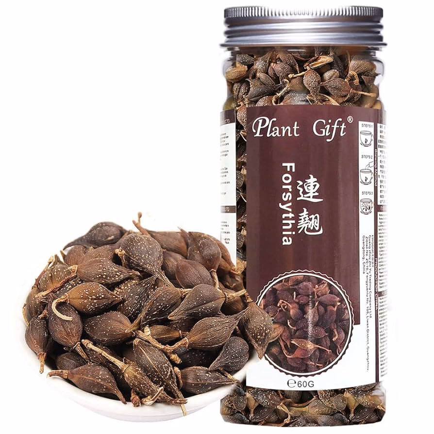 What are Forsythia capsules?