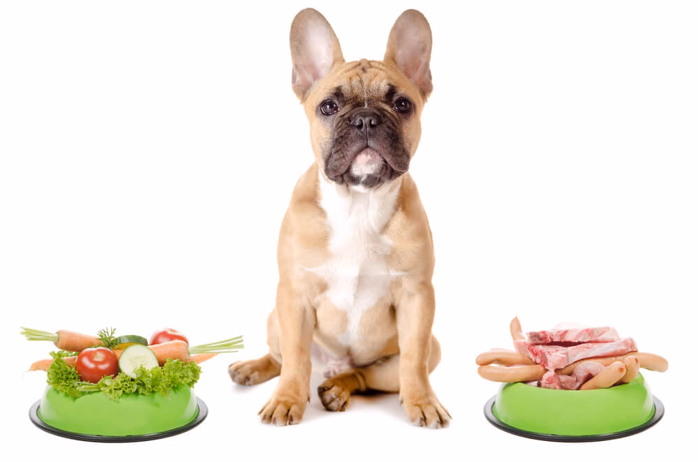 Can French Bulldogs be allergic to pork?