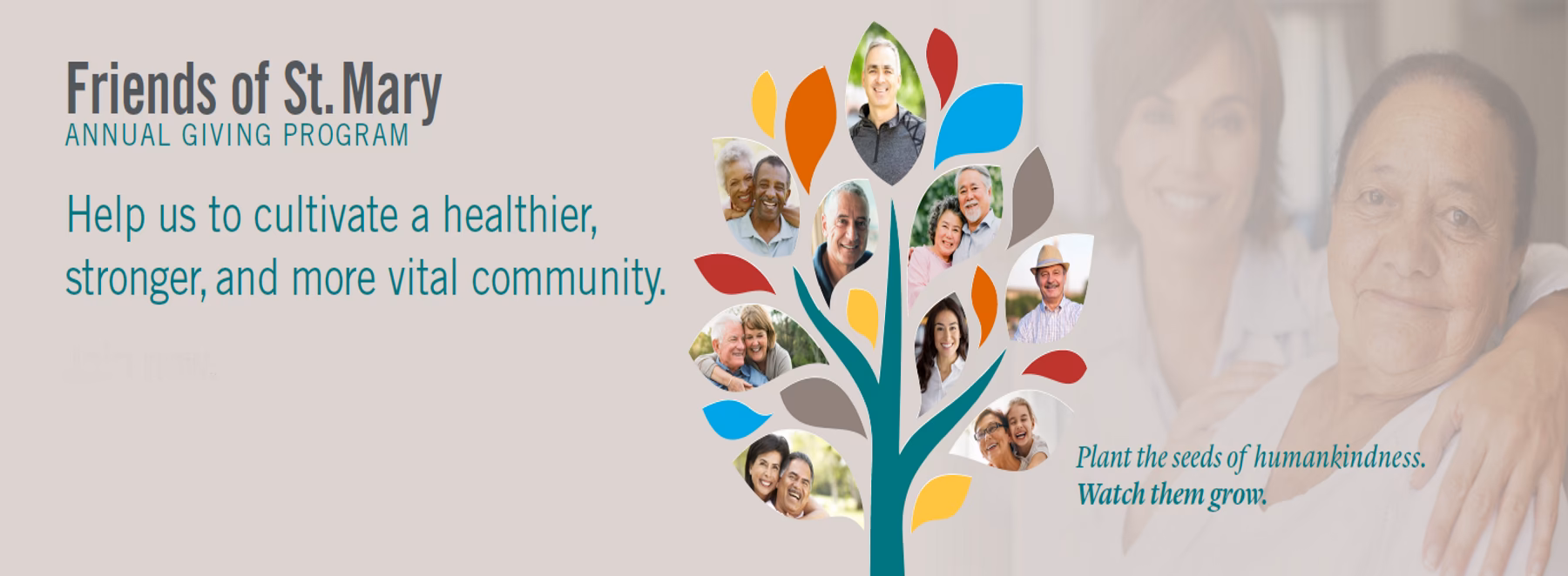 What is St. Mary's Hospital?