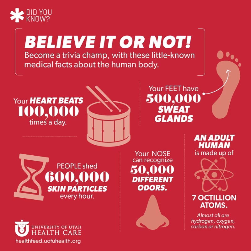 Where did medicine come from?