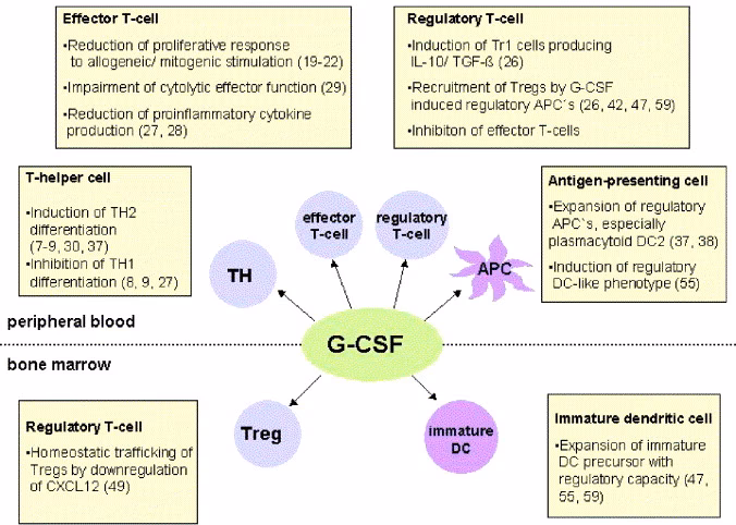 Which GM-CSF inhibitors are used in rheumatoid arthritis?