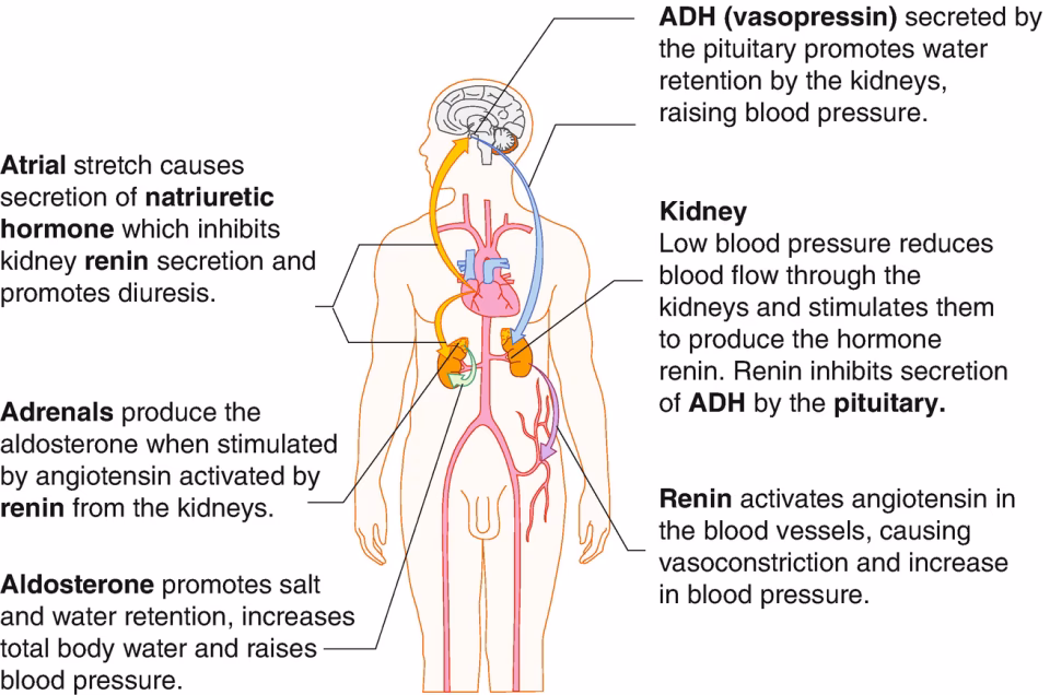 What happens if g-force is high?