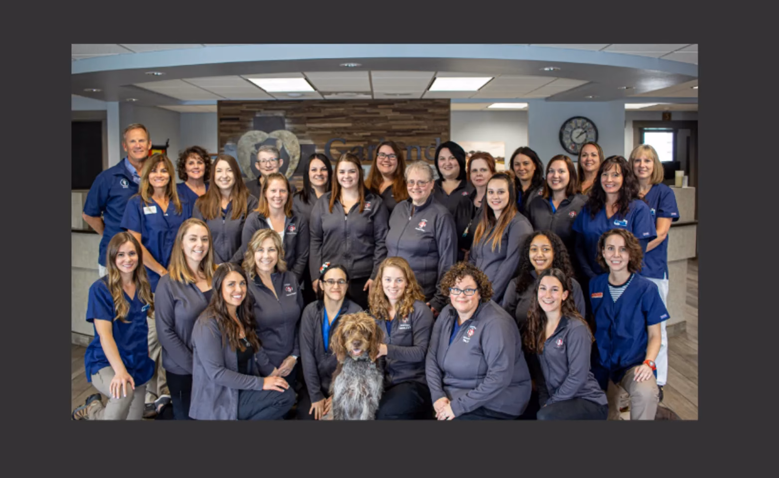 What services does Garland Animal Clinic offer?