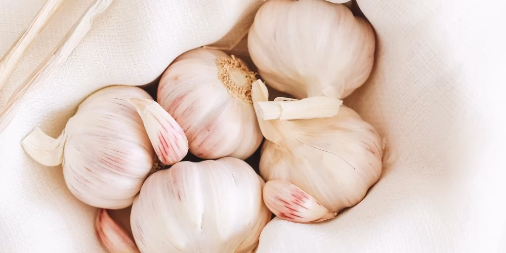 What are the symptoms of garlic allergies?