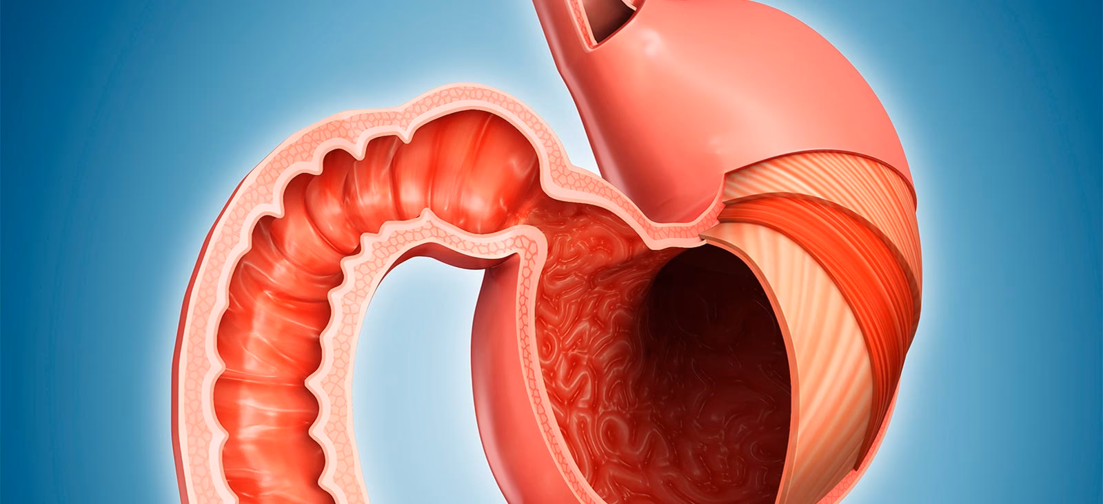 Can surgery cure gastrointestinal malignancies?