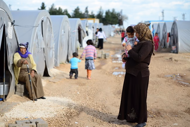 What causes sexual gender-based violence in refugee settings?