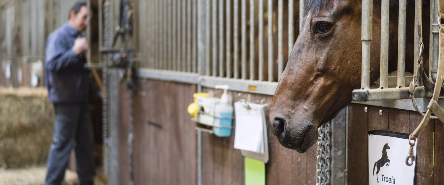 Who is the first 'Ghent University alumnus of the year'?