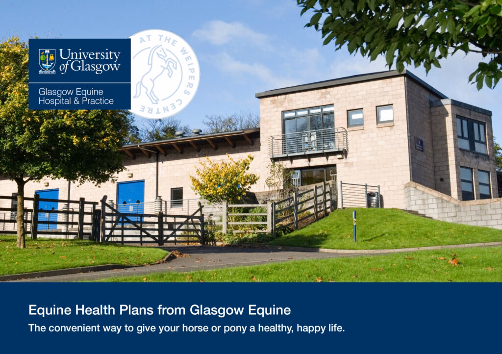 Where can I find equine veterinary services in Glasgow?