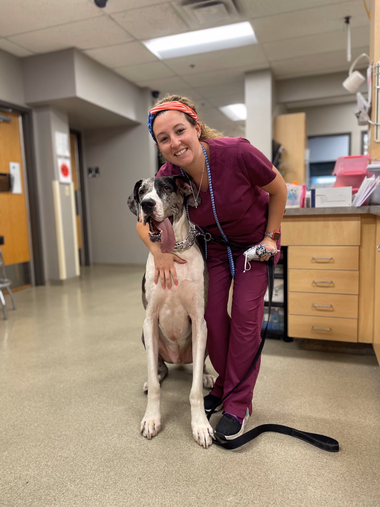 Does Glen Ellyn Animal Hospital treat rabbits?