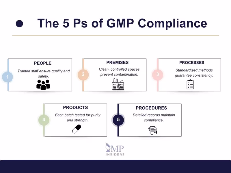 What are FDA GMP regulations?