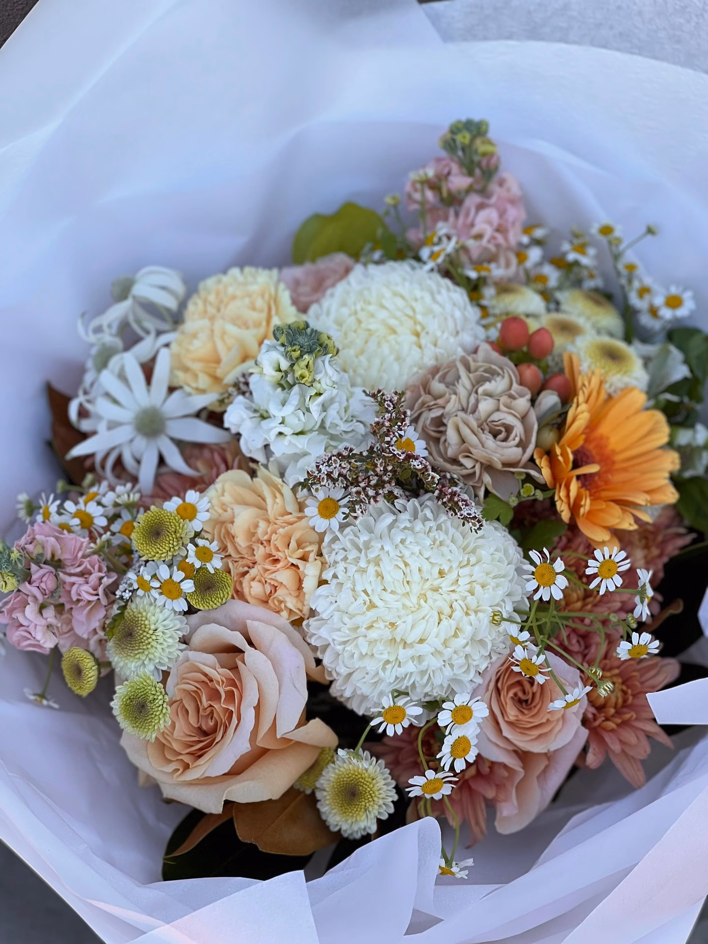 Should you visit Gold Coast University Hospital for a special gift?