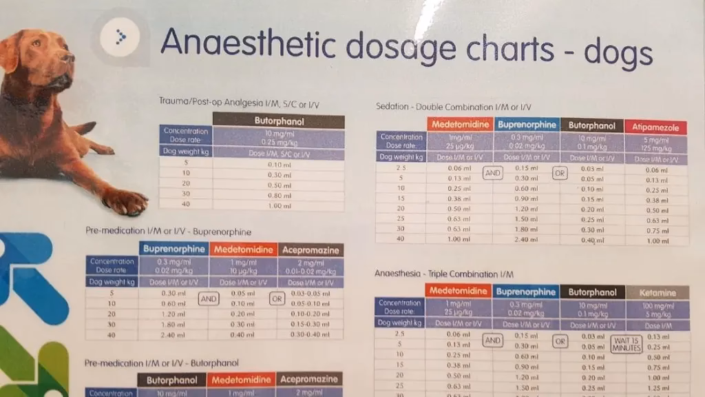 How many veterinary schools can I apply to?