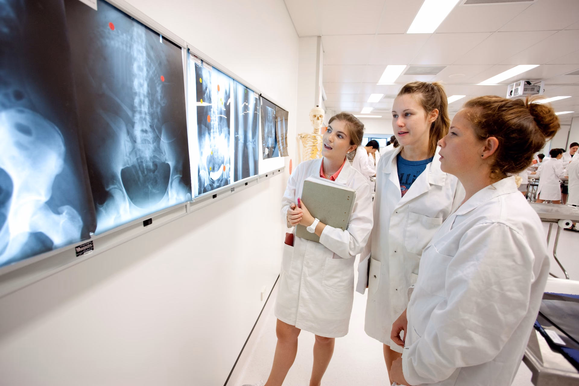 Where is Griffith medical school located?