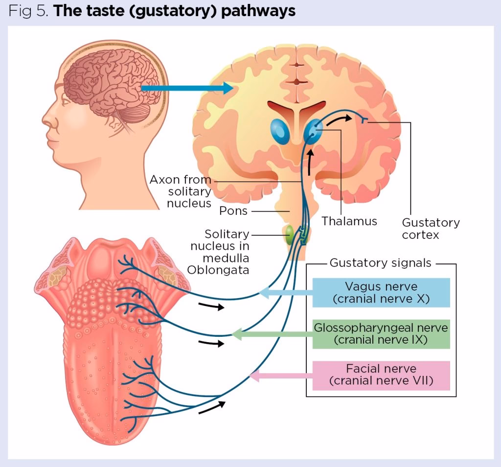 Can gustatory rhinitis cause your nose to run?