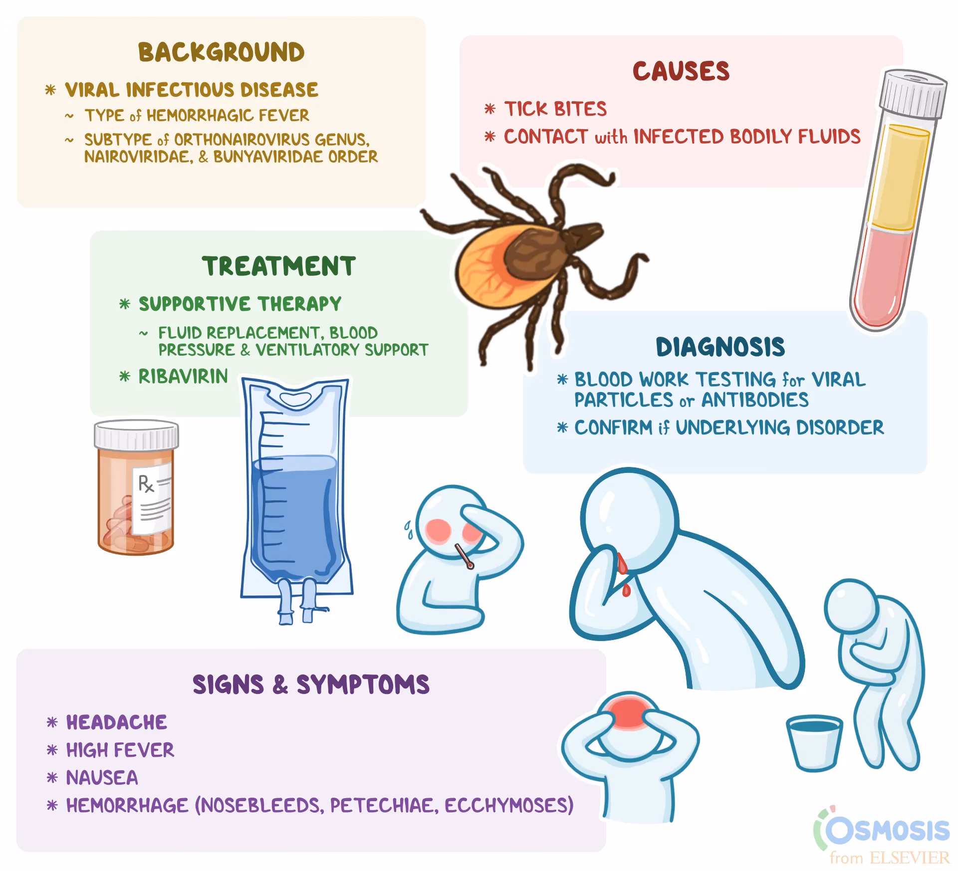 What is a viral hemorrhagic fever (VHF)?