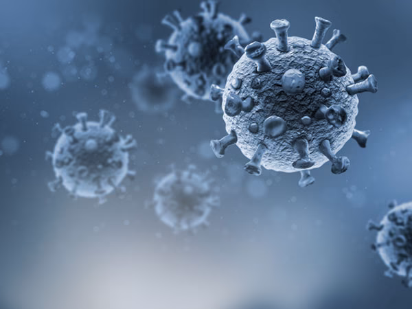 Is HMPV related to avian metapneumovirus?